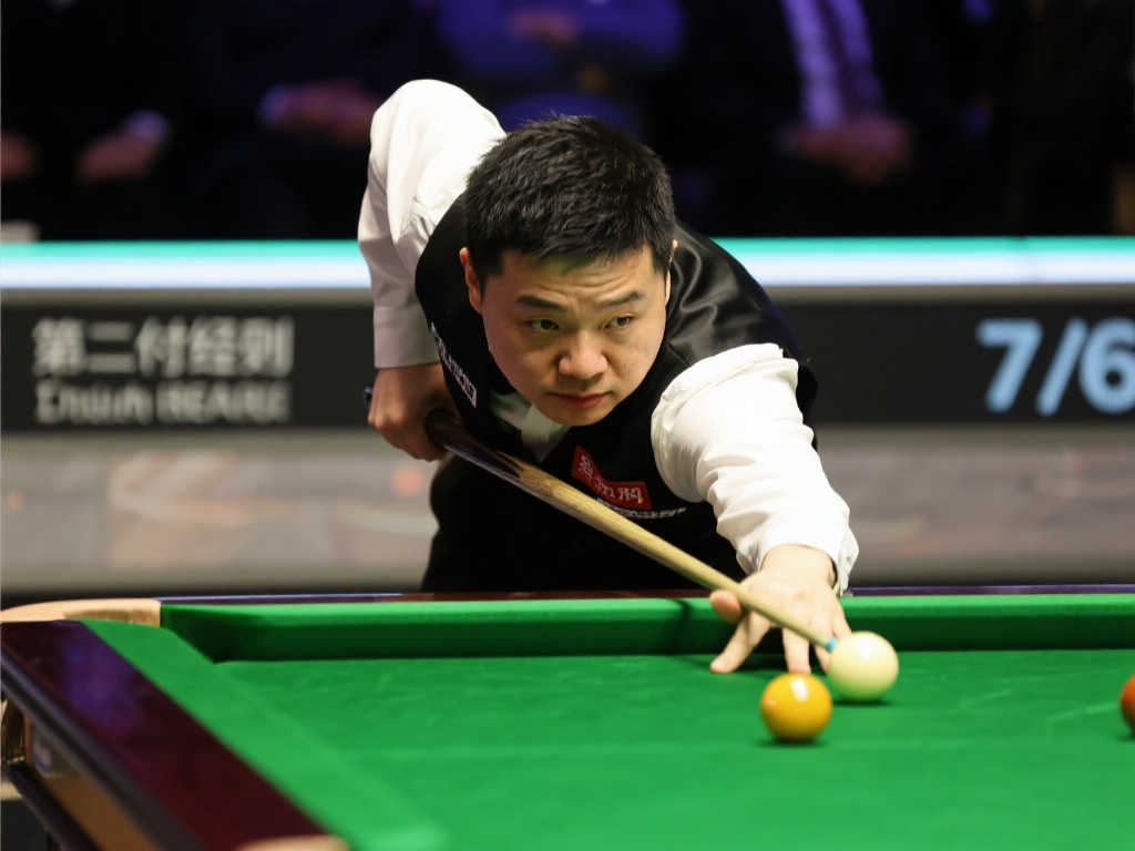 仅仅反映在 仅仅反映在